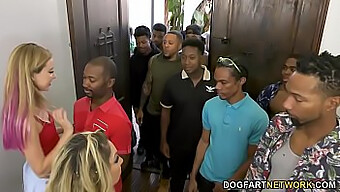 Haley Reed And Her Mother Kiki Daire Engage In A Wild Group Sex Session With A Dozen Black Men, Taking Turns To Cover Their Faces With Cum After Intense Oral Sex And Deepthroat Blowjobs.