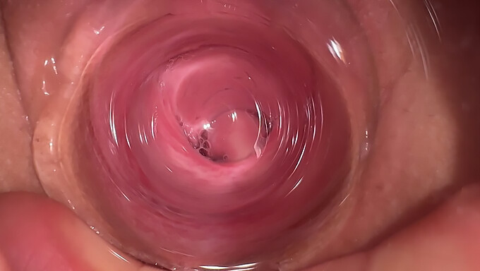 Cumshot Inside My Young Sister'S Vagina And Display Intimate Facial Finish