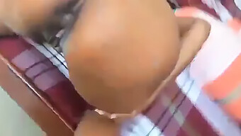 Gadis Amatir Sri Lanka Memberikan Blowjob Yang Penuh Gairah Dan Seks Yang Intens Di Bagian 2