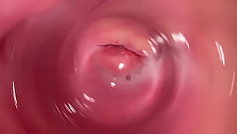 Pov De Una Exploración Profunda Dentro De Una Vagina Húmeda