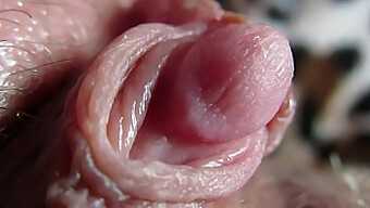 Intense Close-Up Of My Pulsating Clit Tip During Hardcore Stimulation