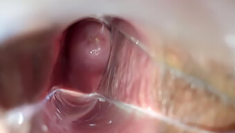 Video Amatoriale Fatto In Casa Di Orgasmo Vaginale Con Speculum