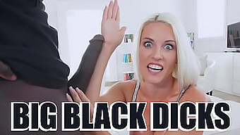 Get Ready For A Black Cock Fest Featuring The Hottest Bangbros Stars!